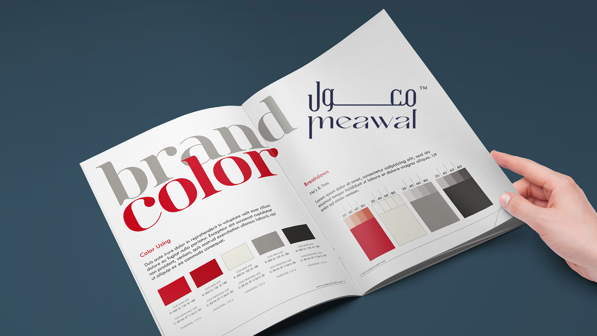 كيفية استخدام الألوان في تصميم البراند