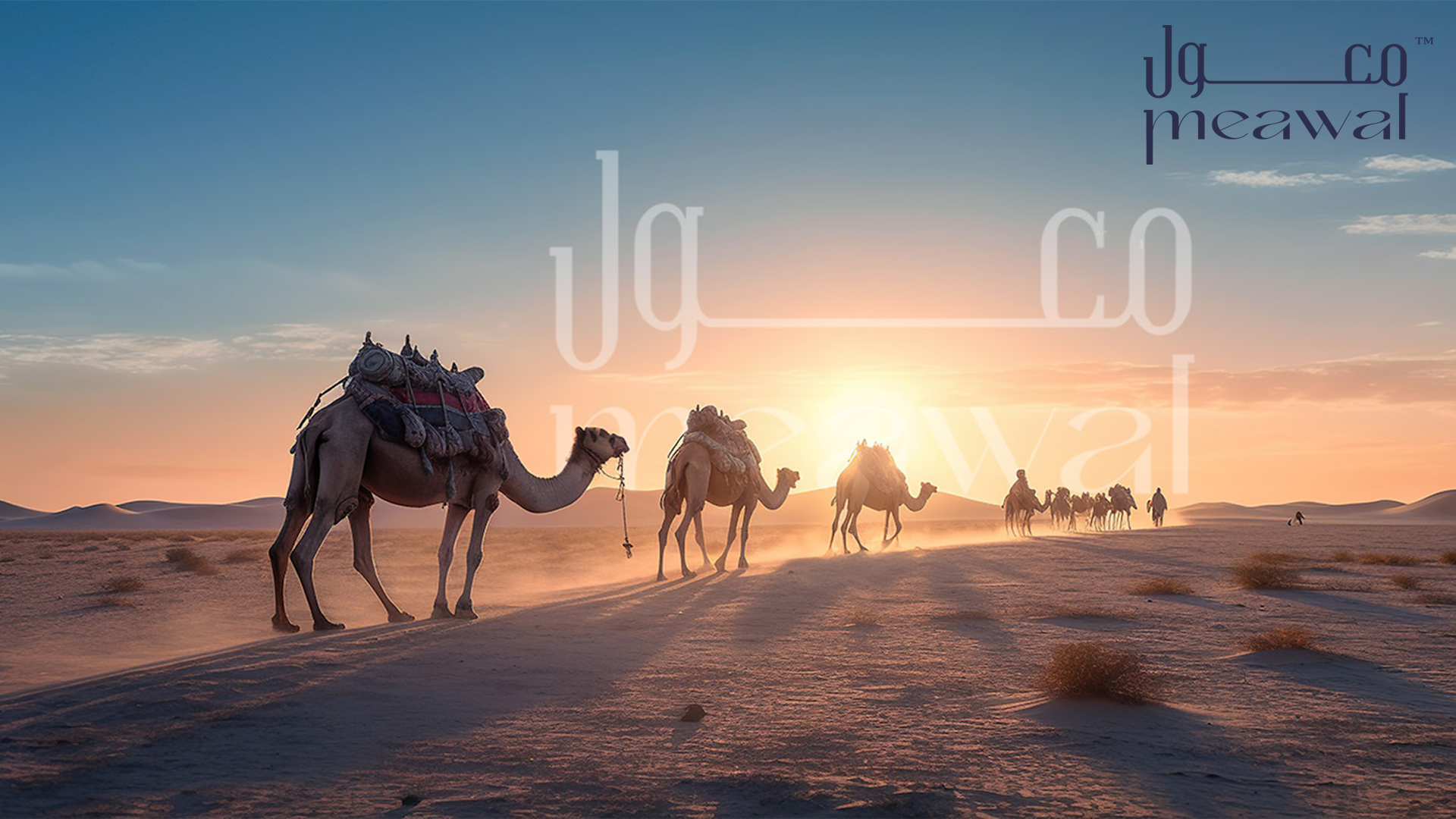 Branding agency meawal in riyadh