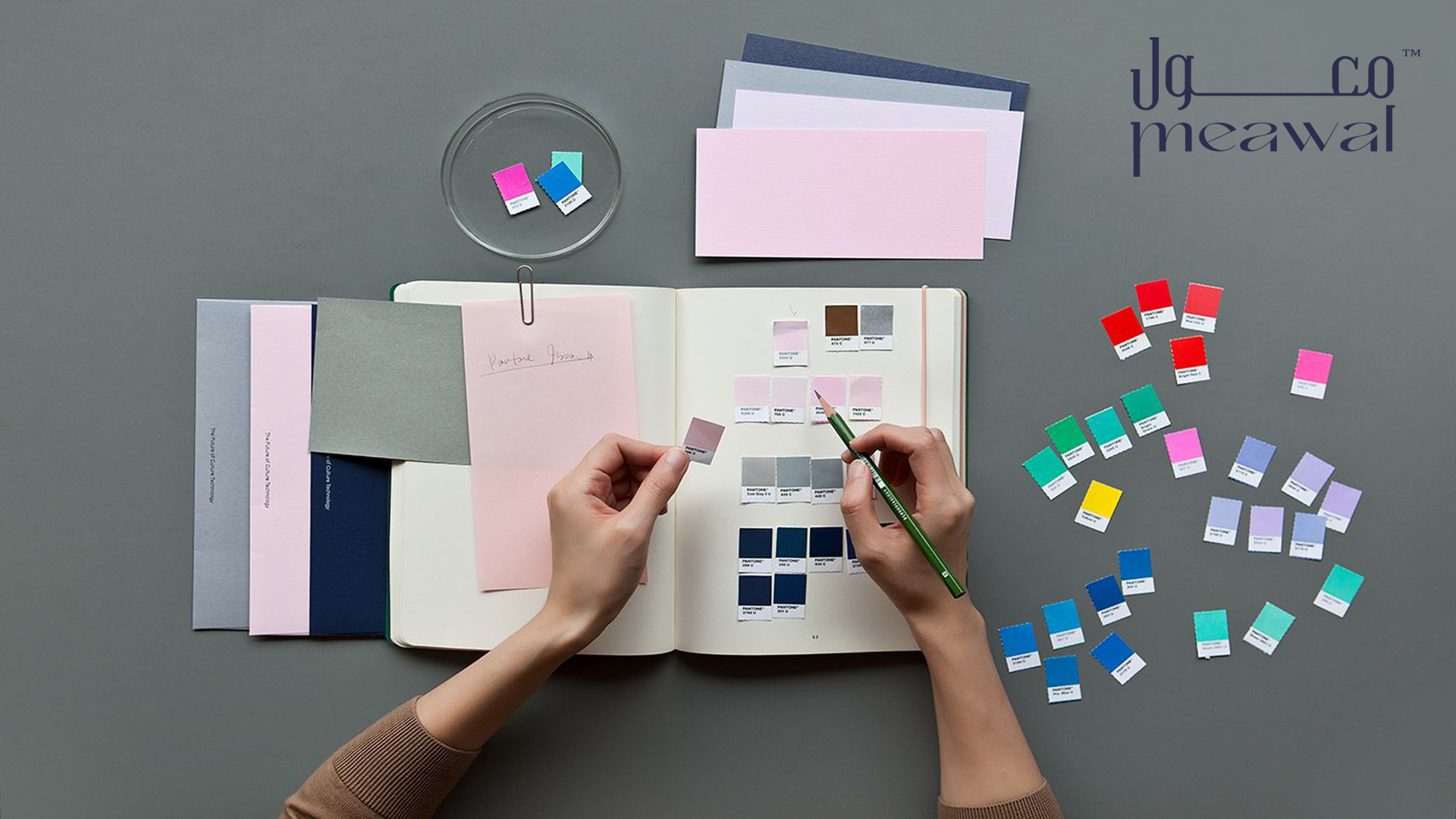 تميز بتصميم هوية بصرية مخصصة من وكالة معول