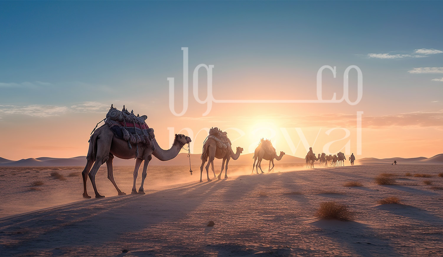 تصميم الهوية البصرية | شركة معول لتصميم المواقع